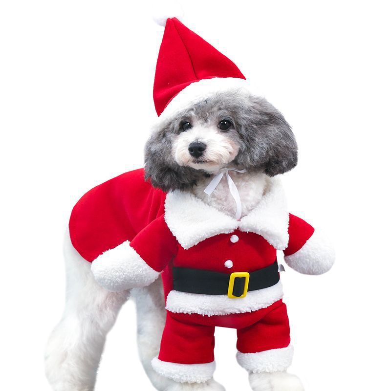 Pet Christmas Decoration Costume Pet Standing Costume by LumiqHome – elegant holiday home décor in a cozy setting
