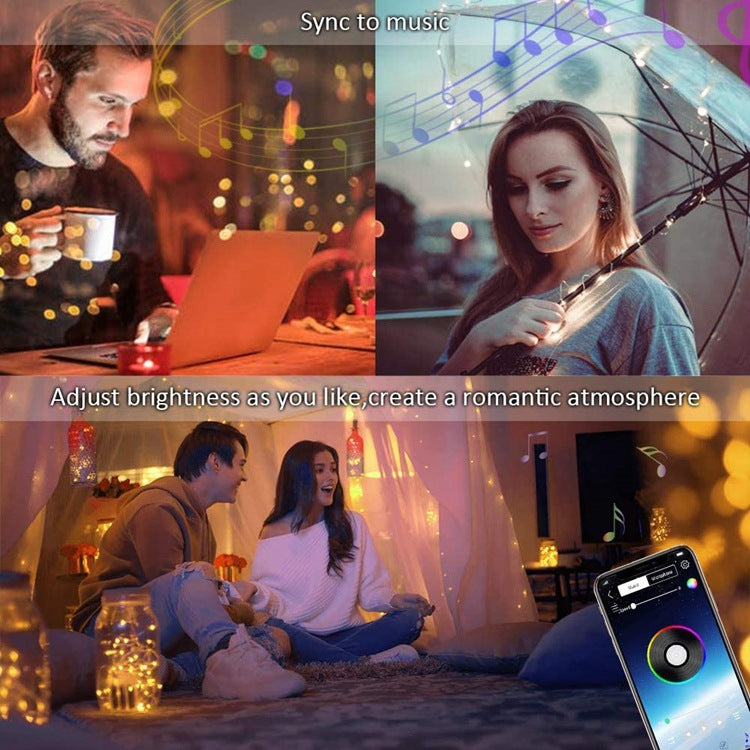 Bluetooth App-Controlled LED Copper Wire Light String – LumiqHome