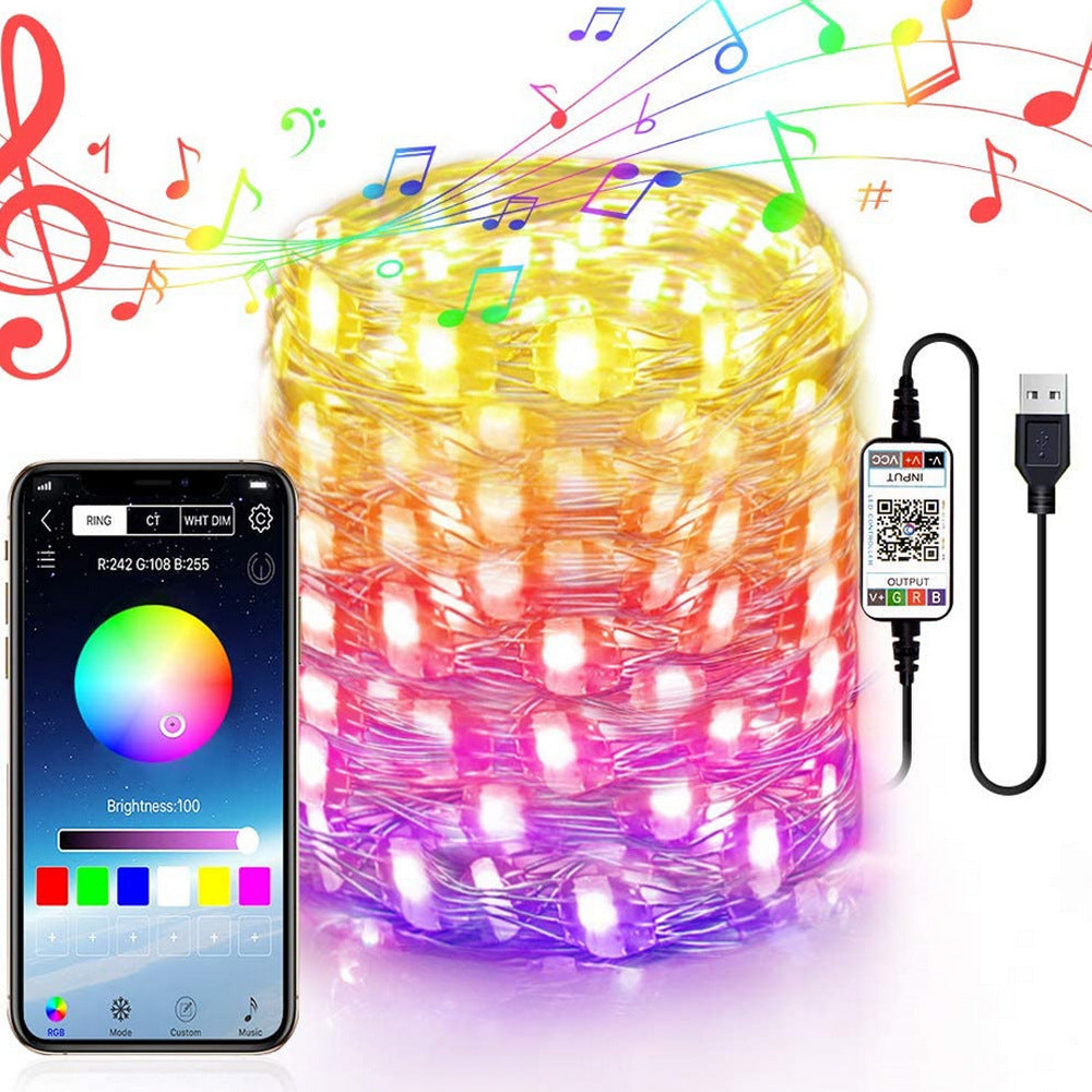 Bluetooth App-Controlled LED Copper Wire Light String – LumiqHome