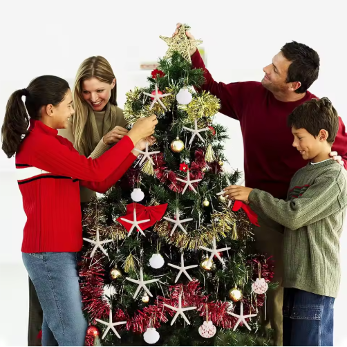 20 PCS Christmas Starfish Hanging Ornaments 3-4'' Natur – LumiqHome